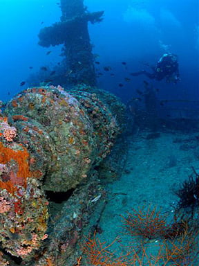 2024-04 South Florida Wrecks